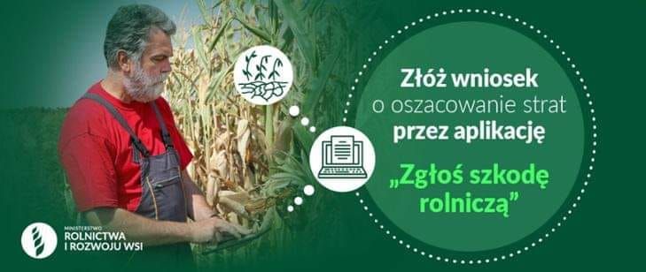 Możliwość składania wniosków o oszacowanie strat w uprawach rolnych spowodowanych przez suszę w 2024 roku